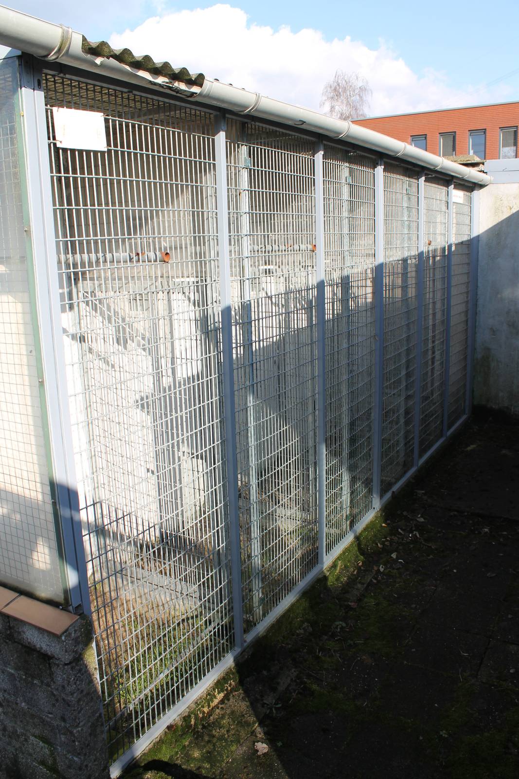 Small parrot aviaries