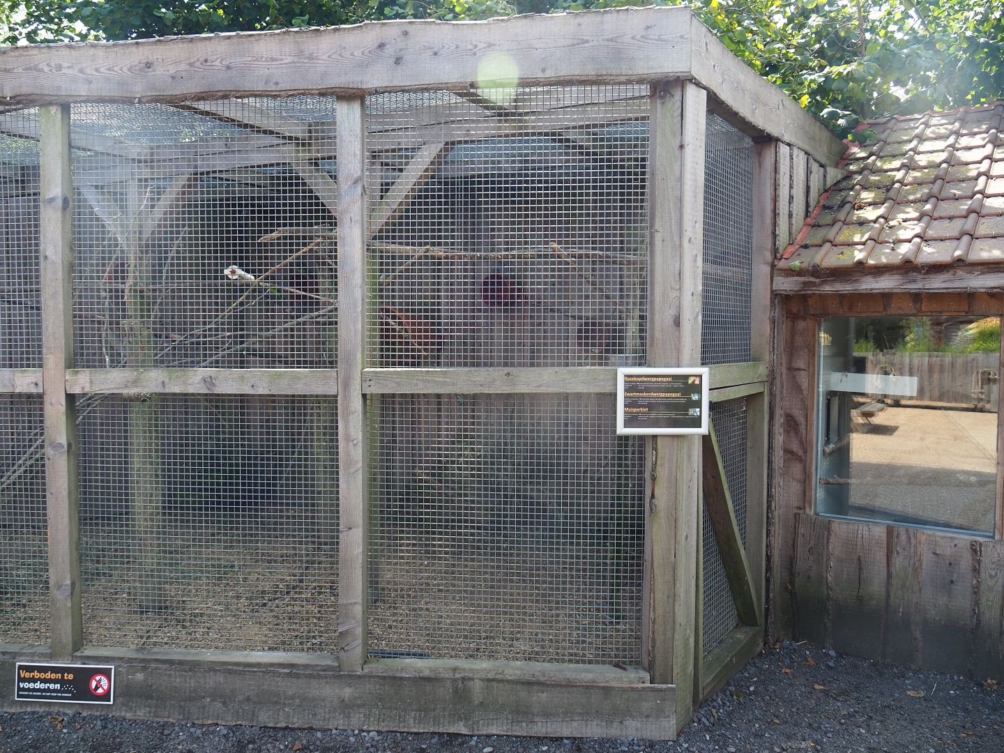 Small parrots aviary and bird barn