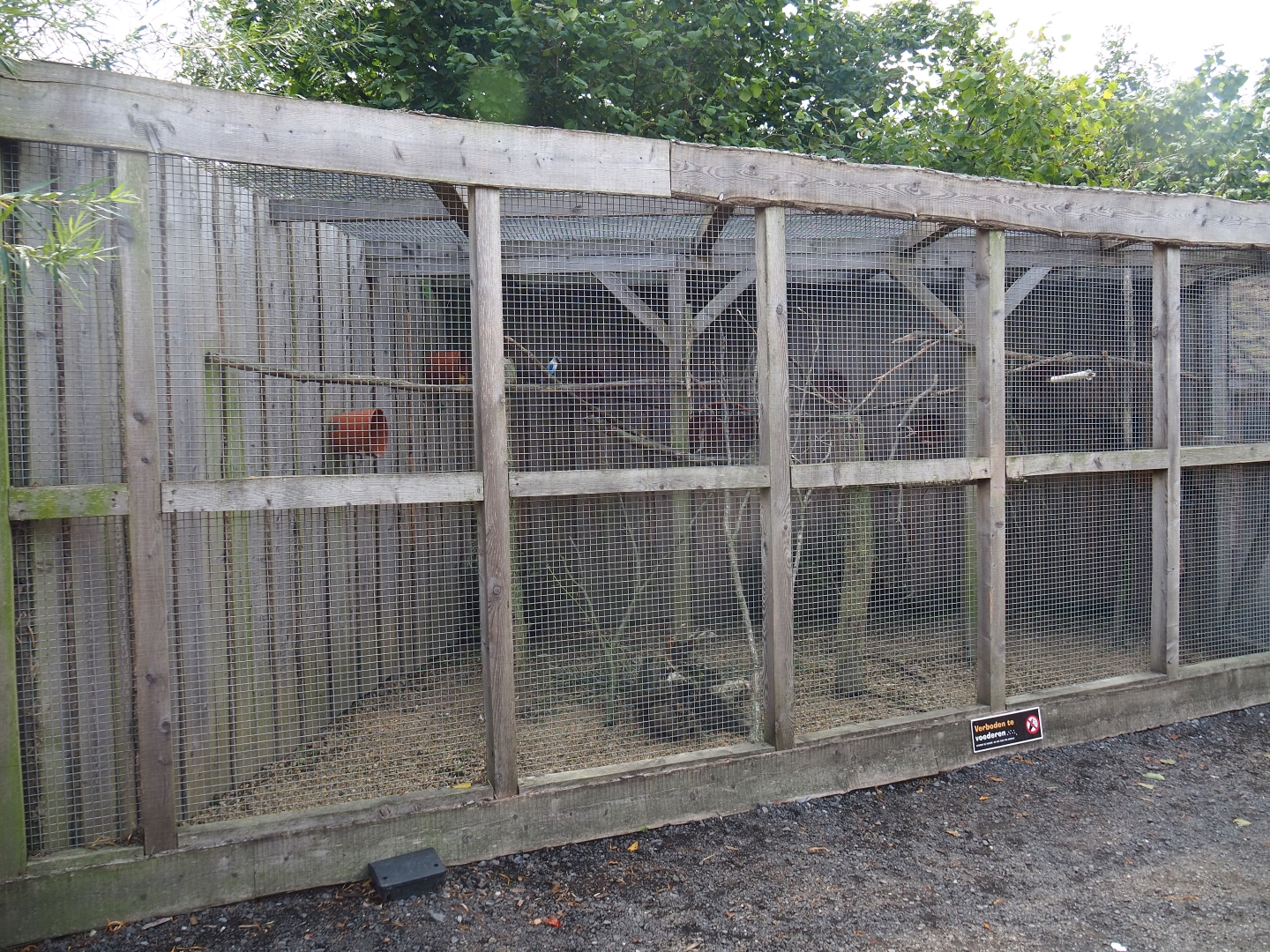 Small parrots aviary