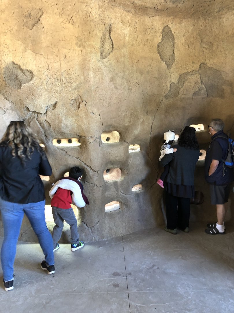 Small part of Naked Mole Rat Exhibit