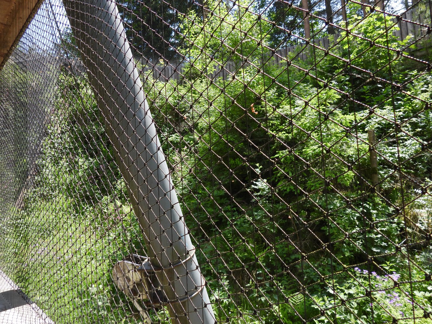 Small part of the eagle owl aviary - Owl aviary at Borova Lada, nationalpark Sumava