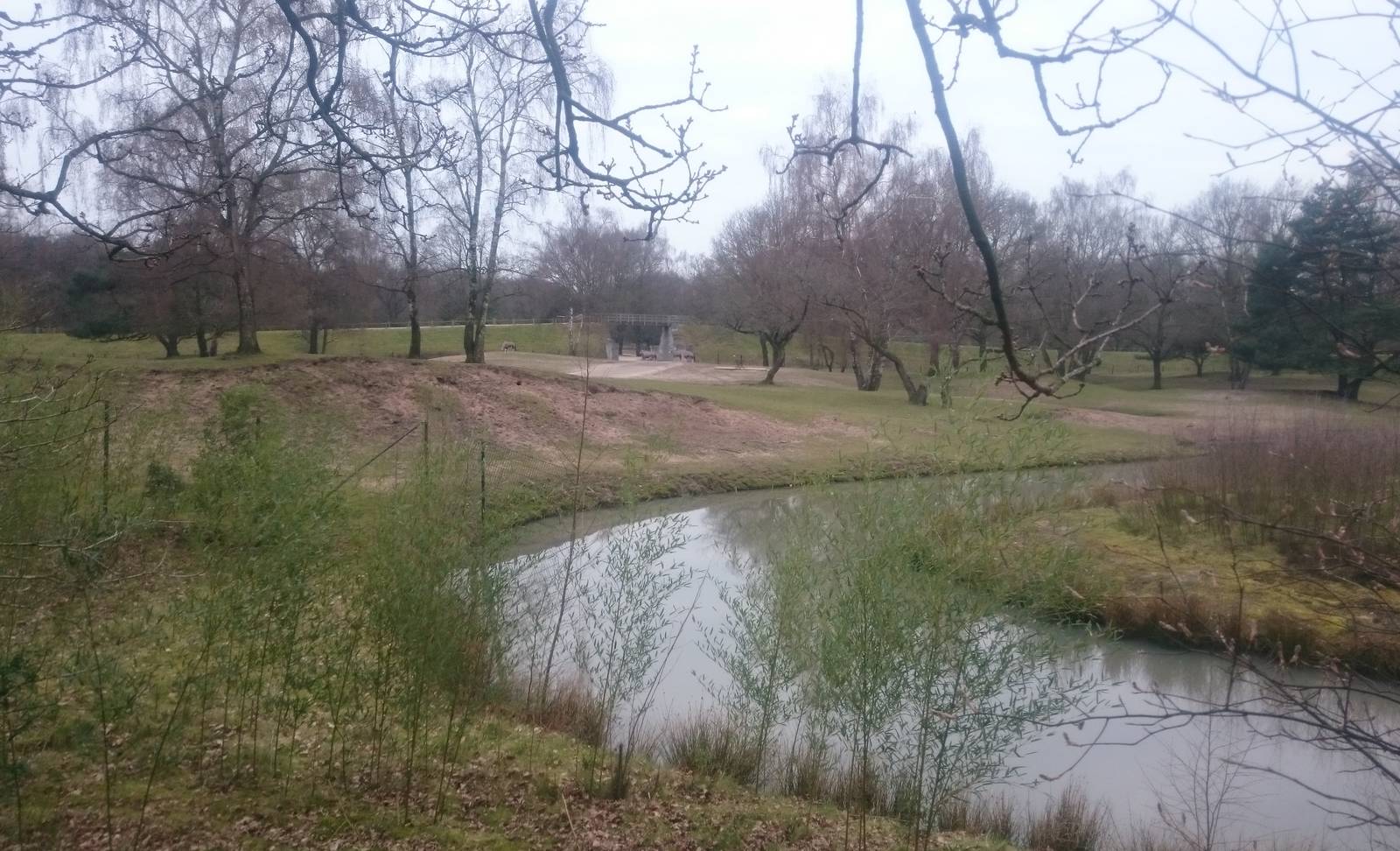 Small part of the Gemsbok-enclosure