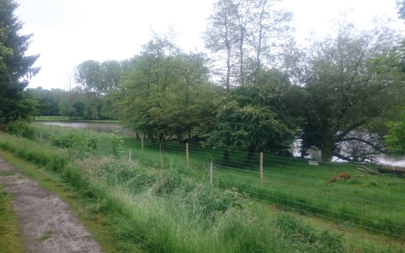 Small part of the Pere David's deer enclosure