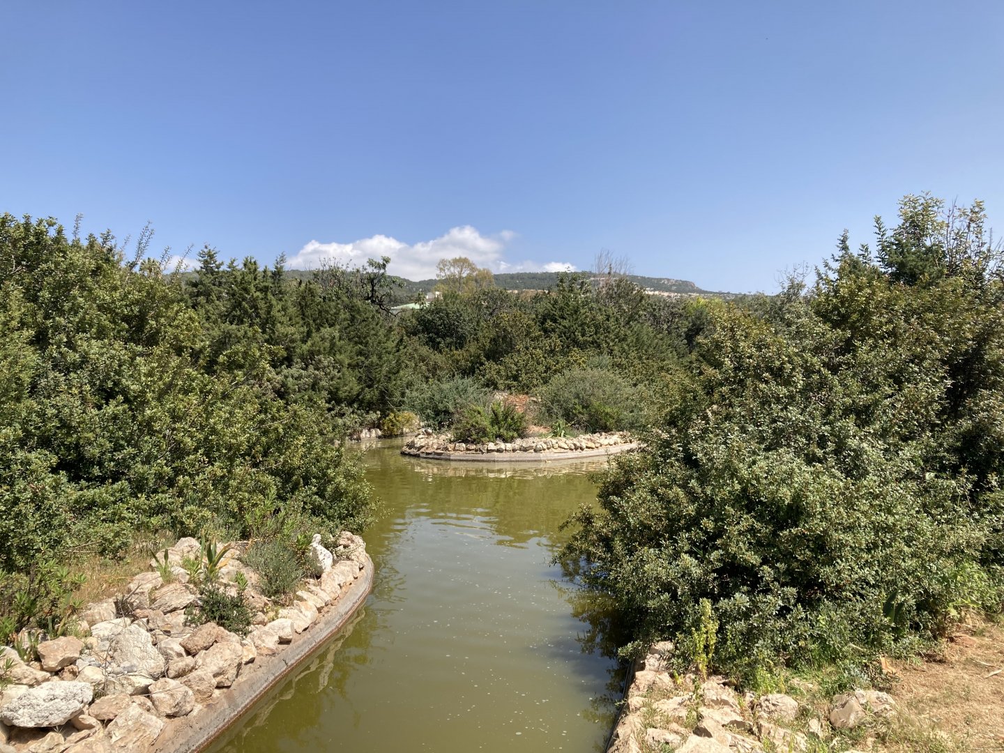 Small part of waterfowl area