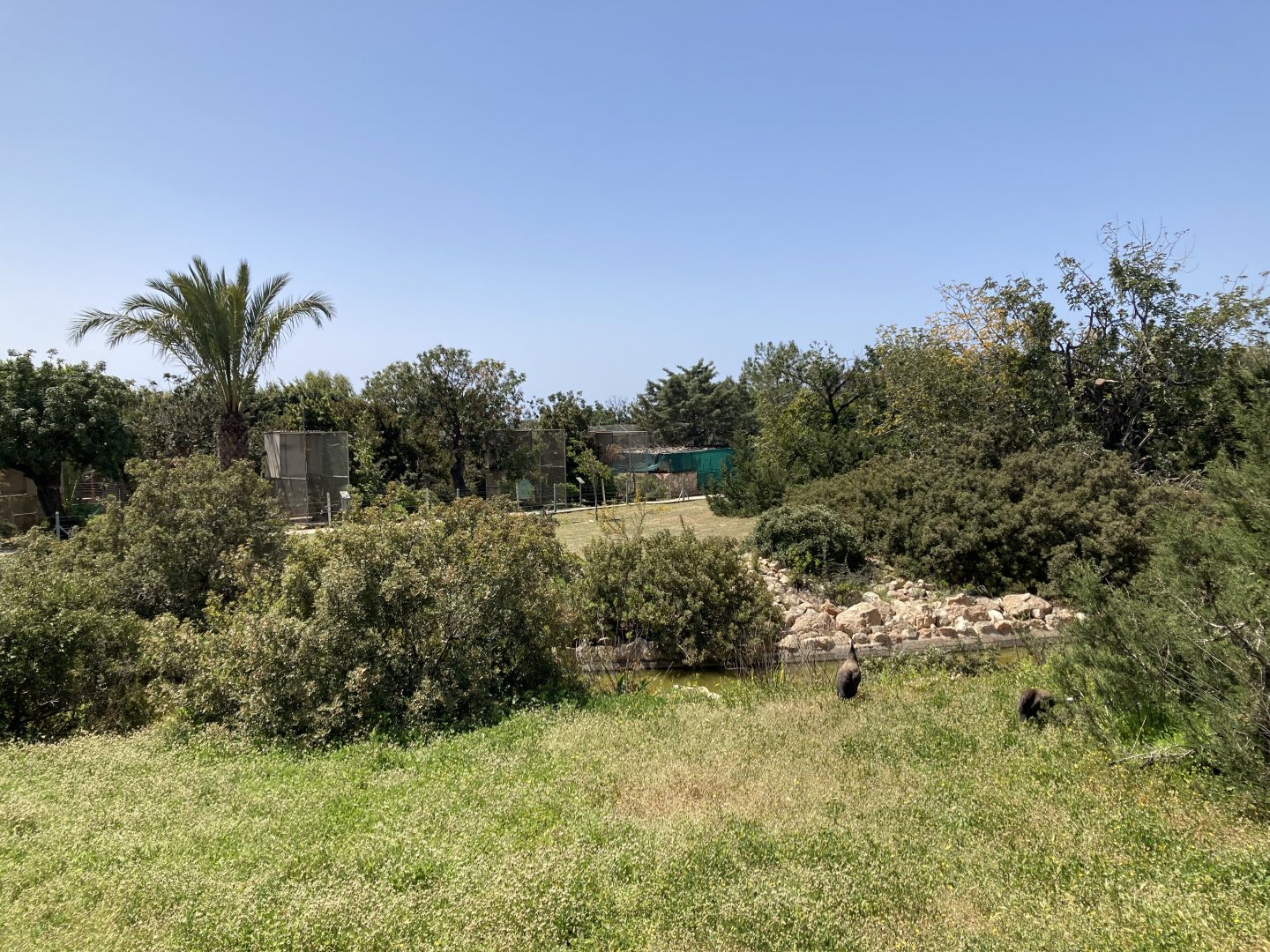 Small part of waterfowl area