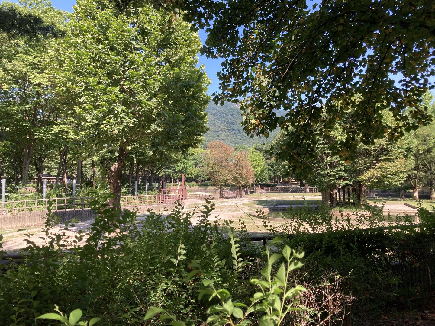 Small part of White rhino enclosure