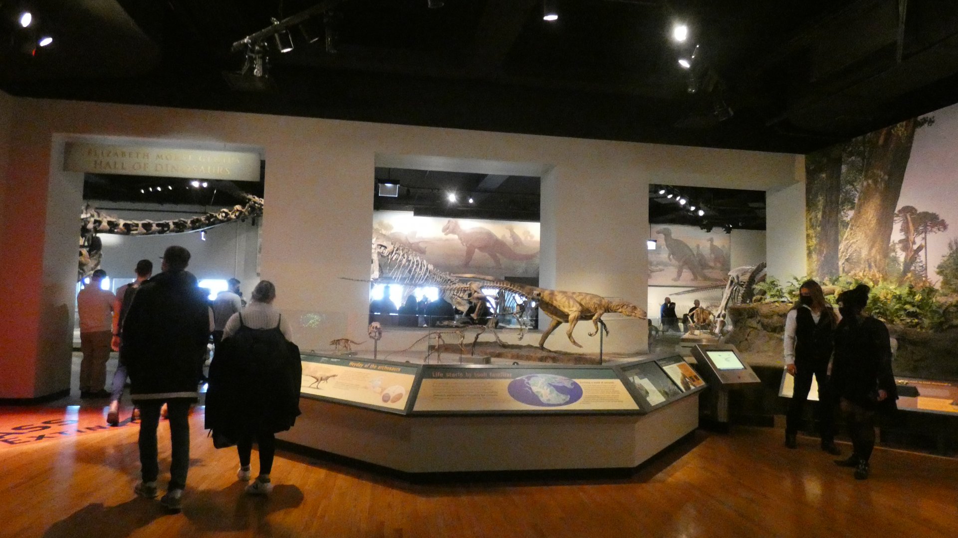 Small Plaza Near the Hall of Dinosaurs, Evolving Planet - Feb. 2022