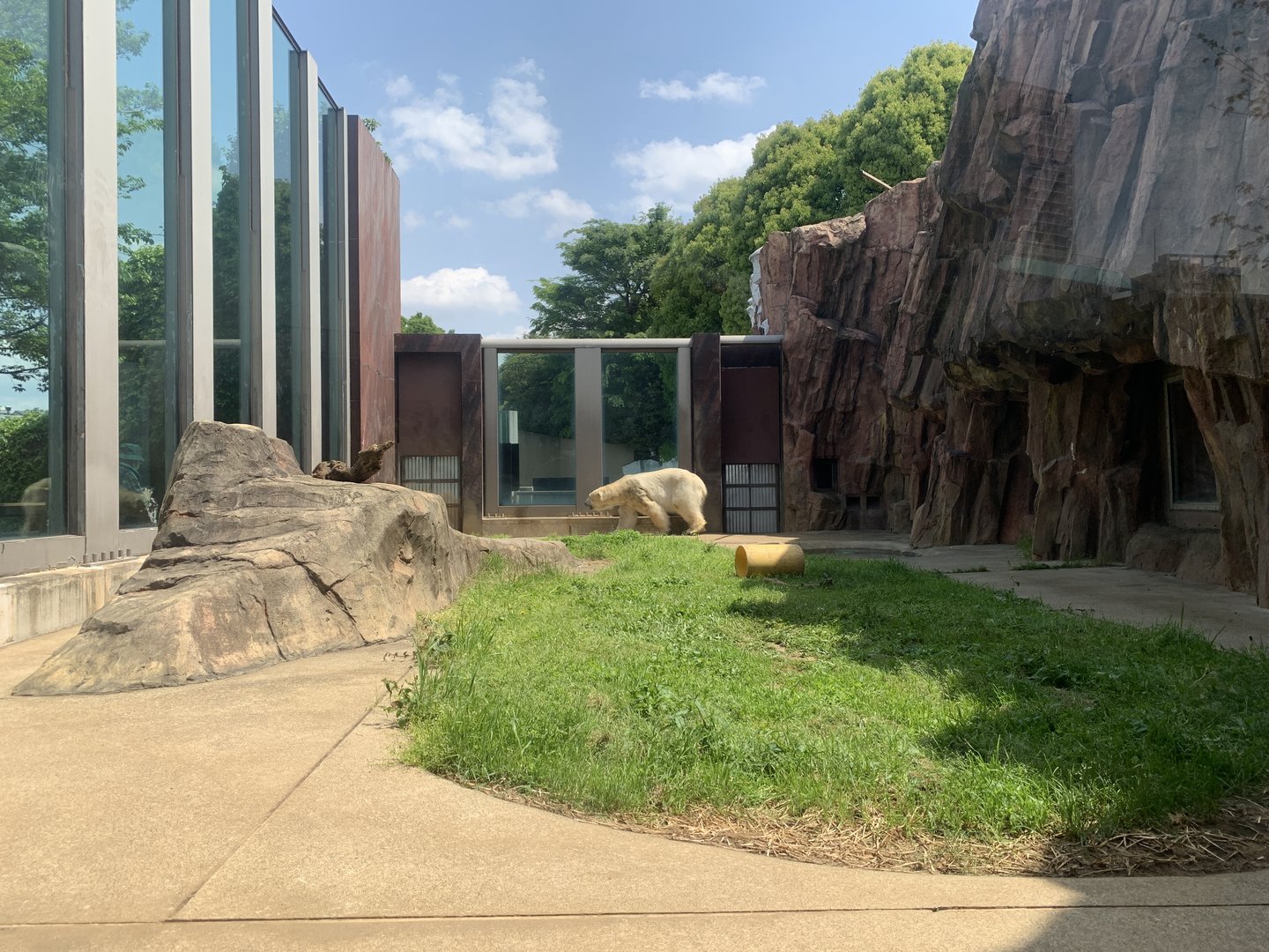 Small Polar Bear Exhibit