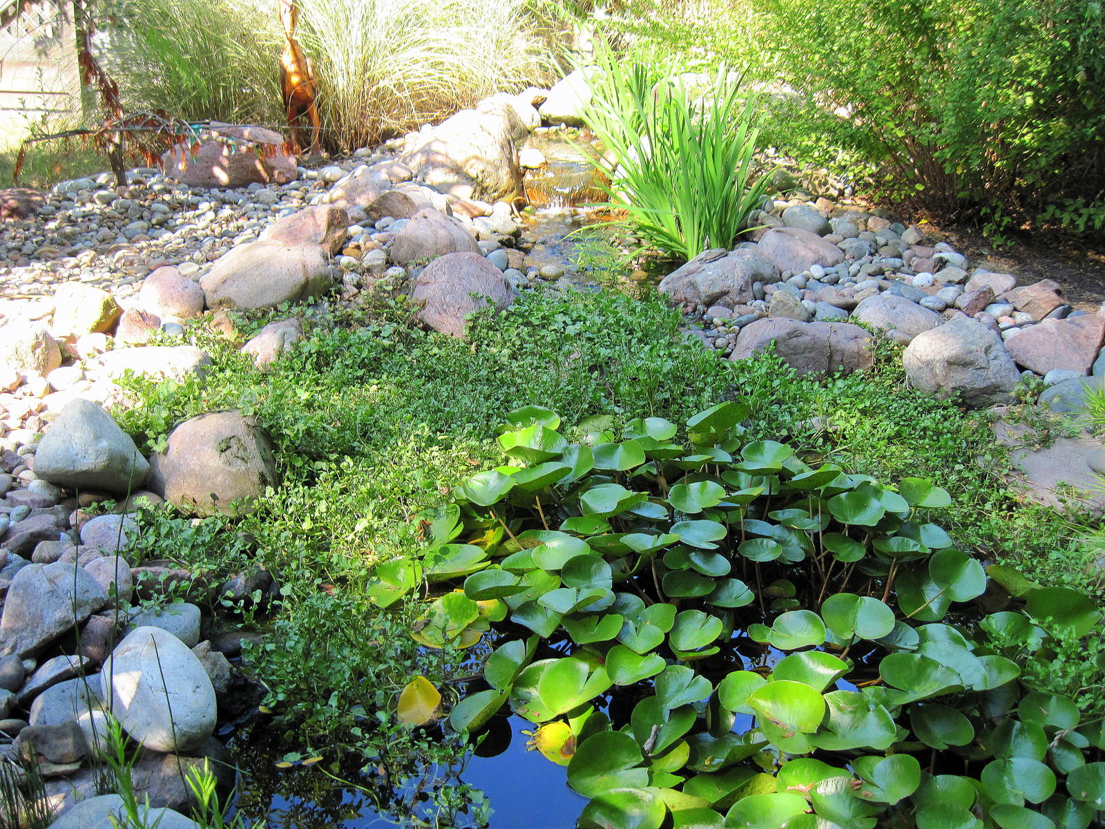 Small Pond