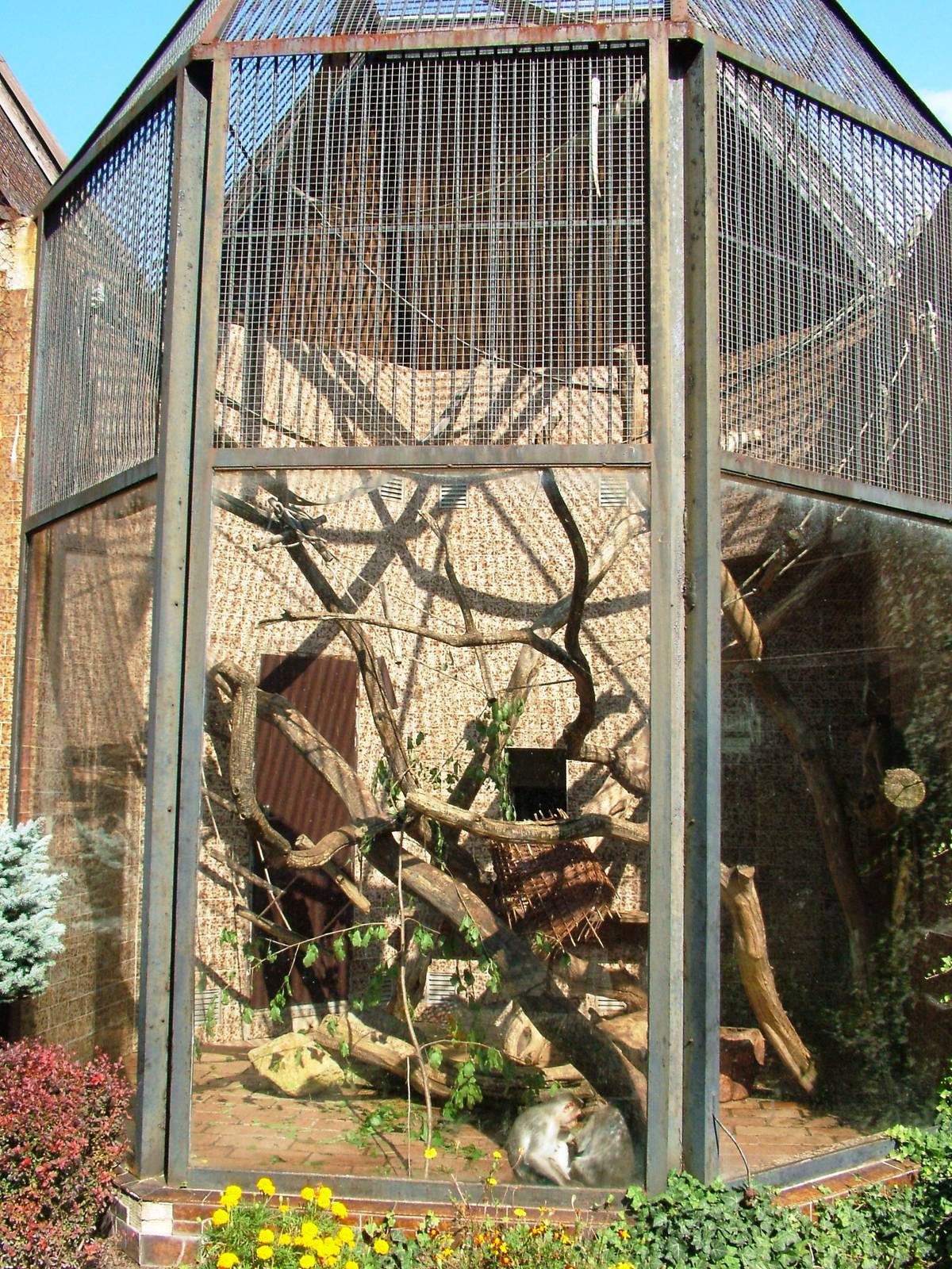 Small Primate Complex at Usti, 29/08/12