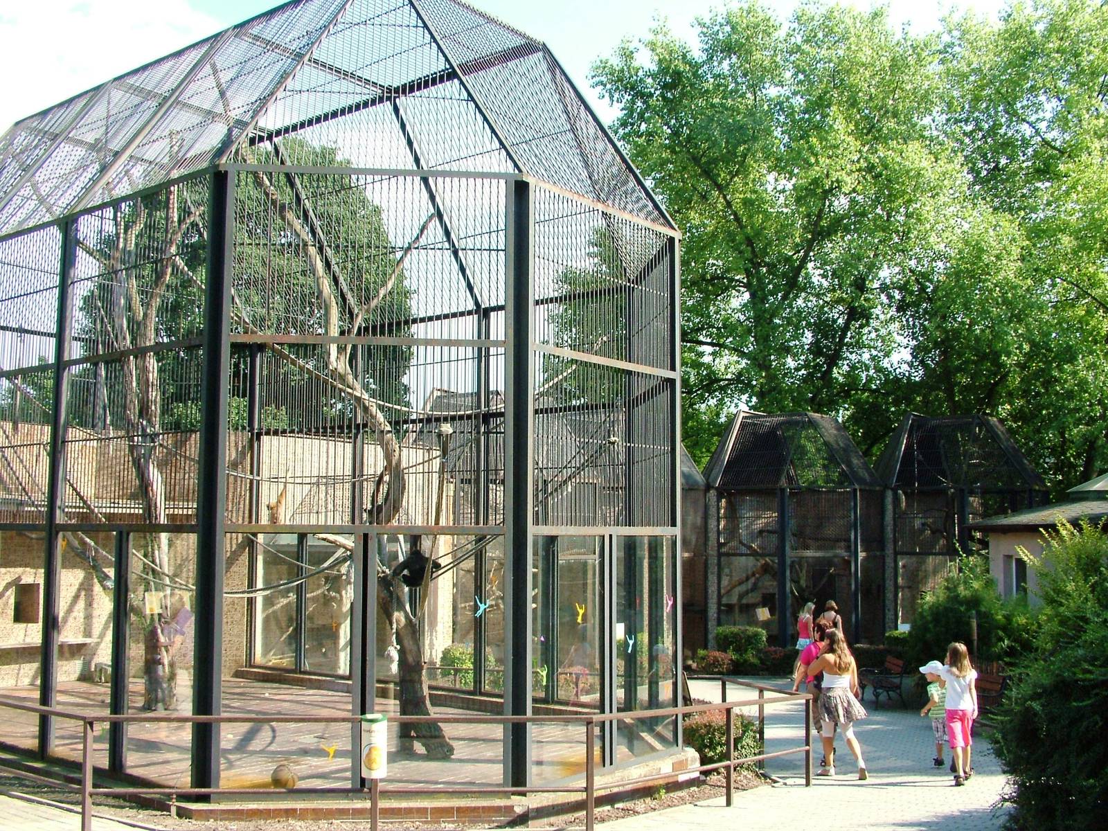 Small Primate Complex at Usti, 29/08/12