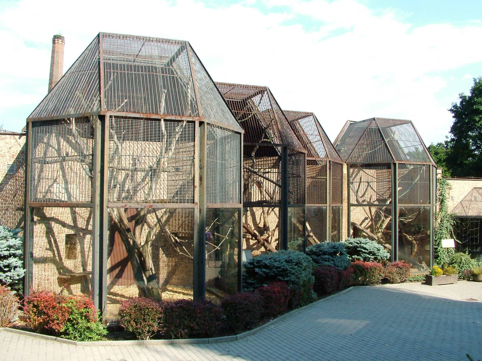 Small Primate Complex at Usti, 29/08/12