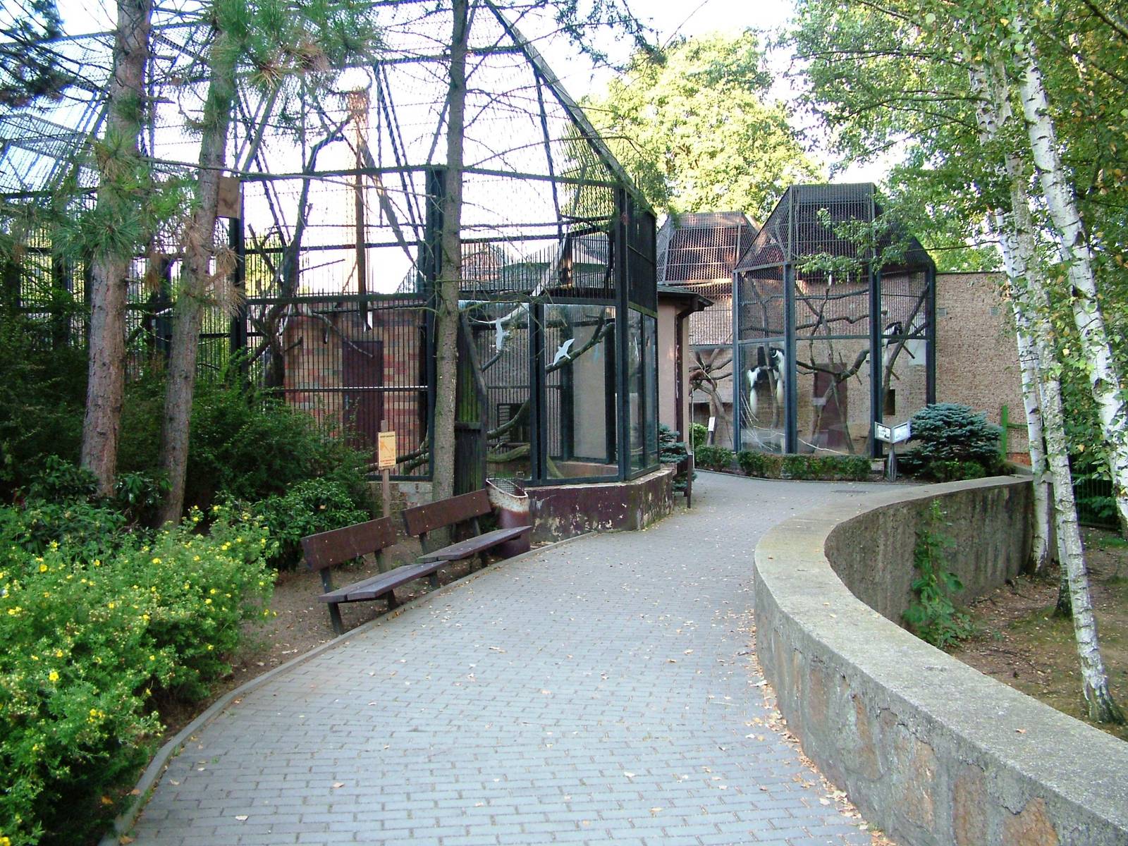 Small Primate Complex at Usti, 29/08/12