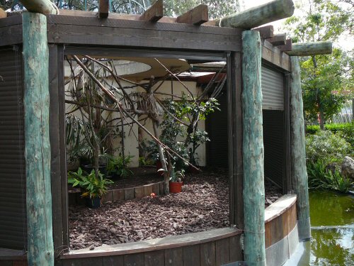 small primate exhibit - shutter lifted as I passed