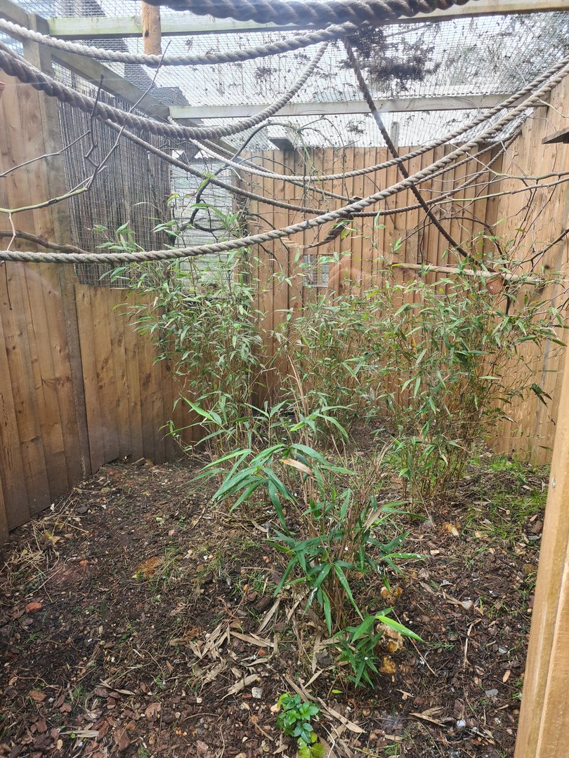 Small Primate Exhibit