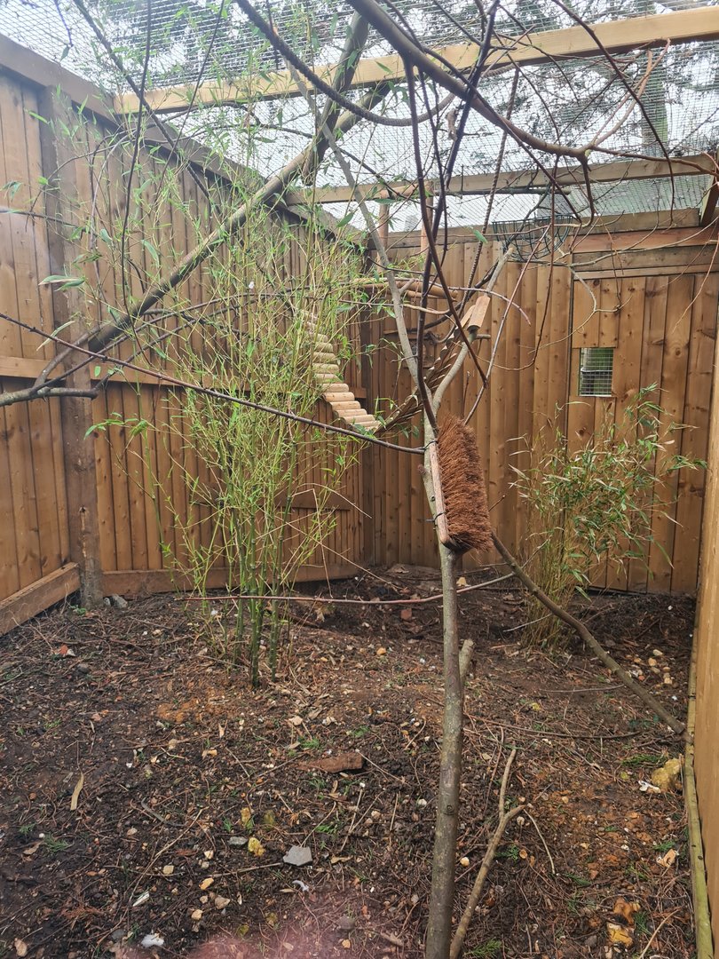 Small Primate Exhibit