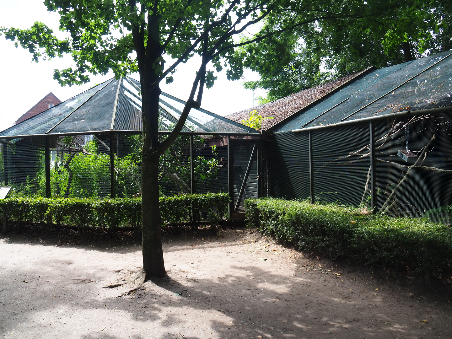 Small primate exhibits, 2019-08-11