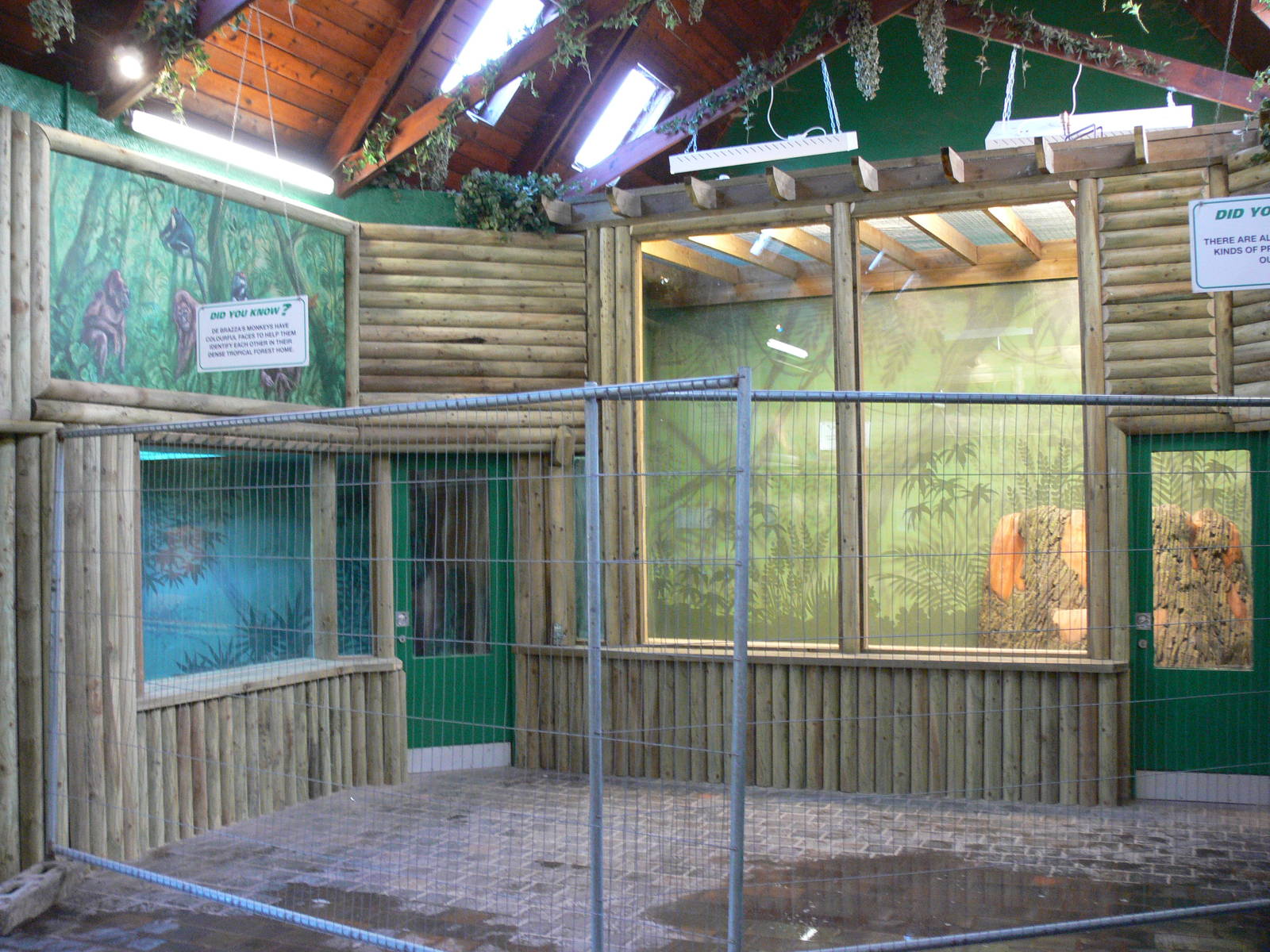 Small Primate House Construction at Blackpool Zoo, 09/12/12