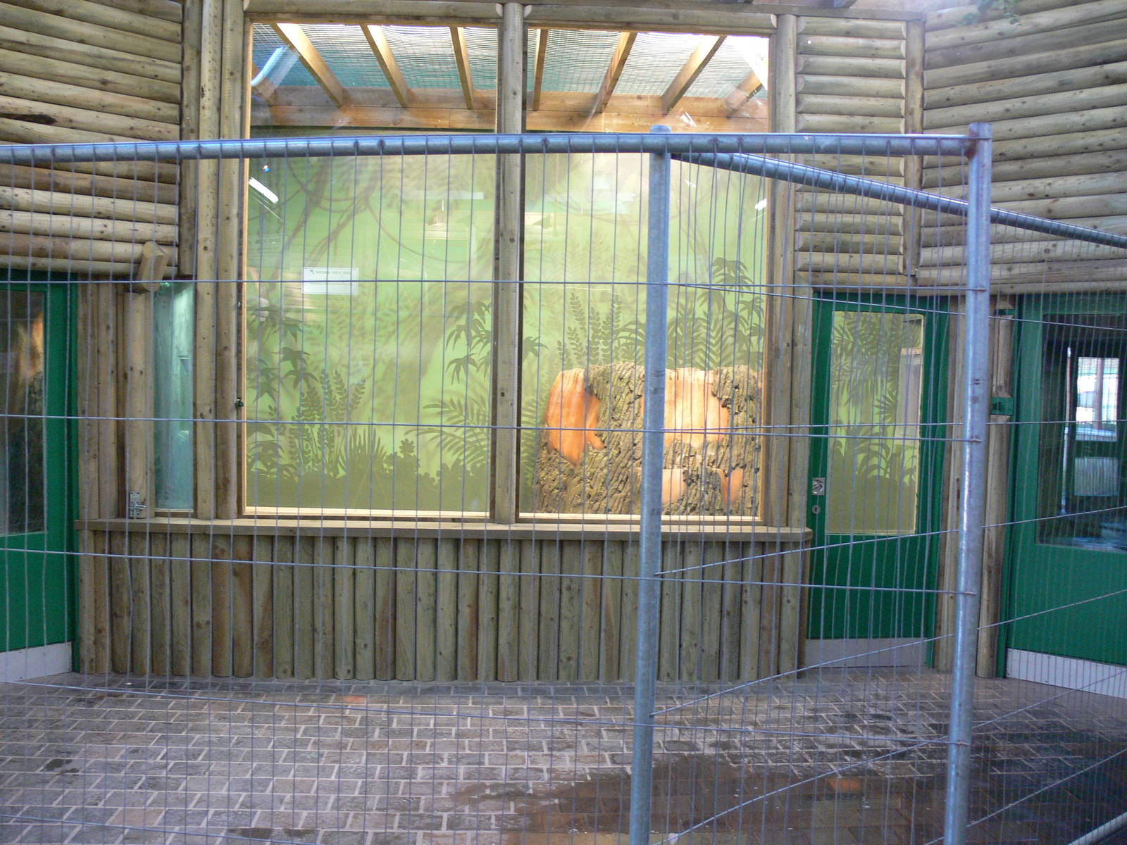 Small Primate House Construction at Blackpool Zoo, 09/12/12