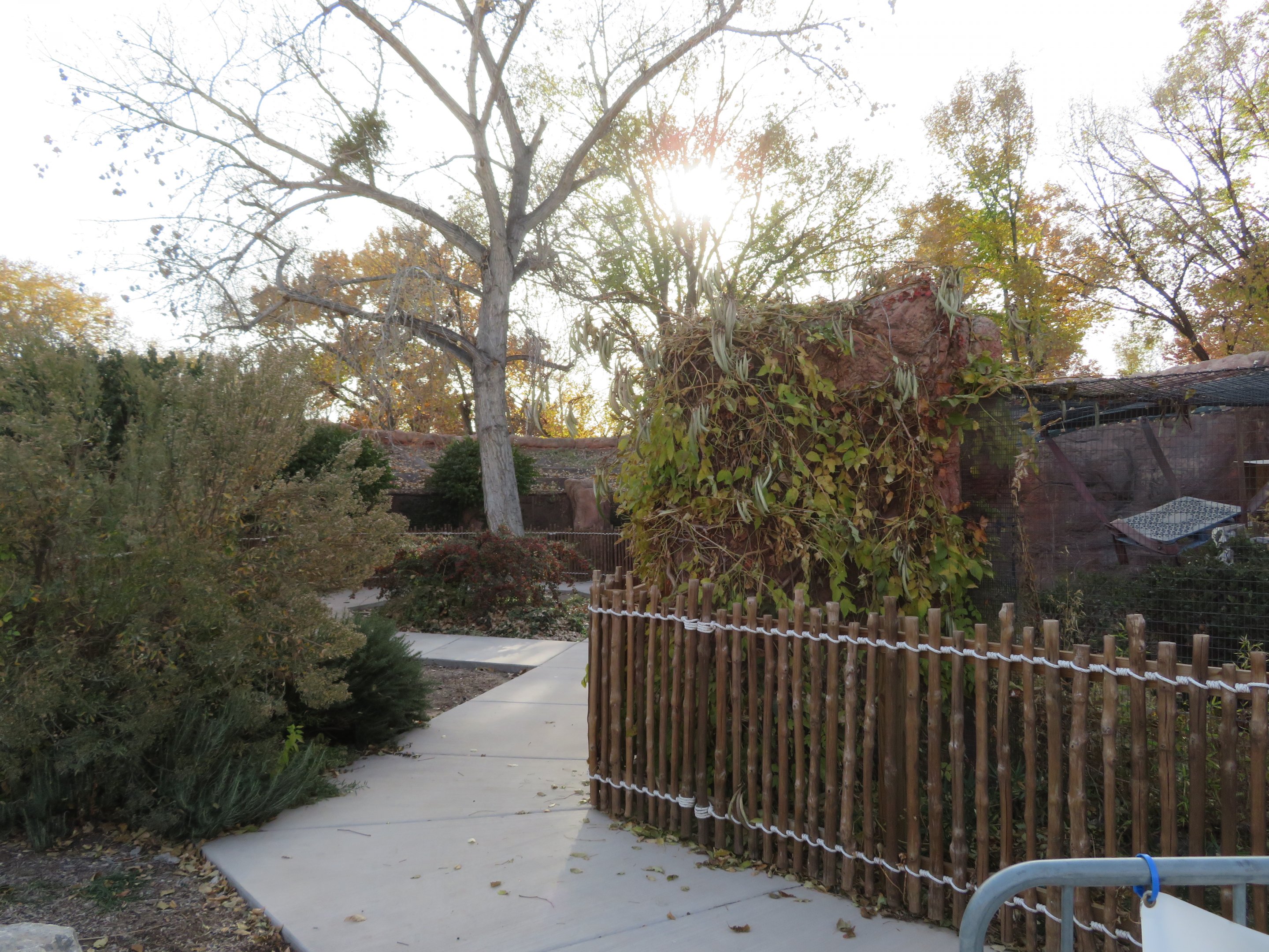 Small Primates Area (Closed for Renovations)