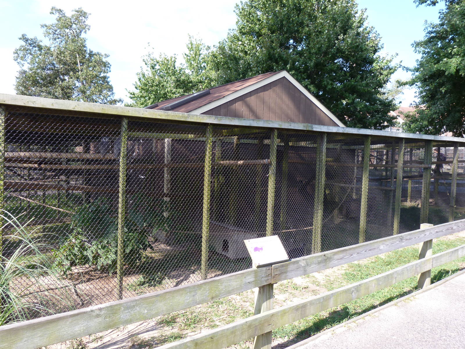 Small Primates Exhibit - August 2014