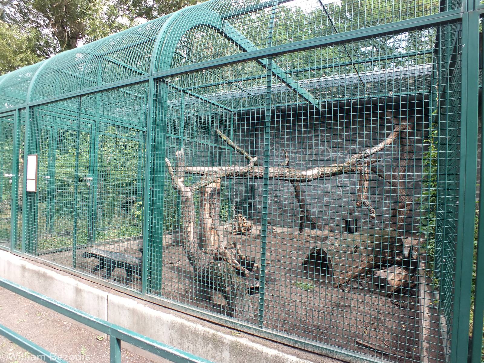 Small Ratel Enclosure