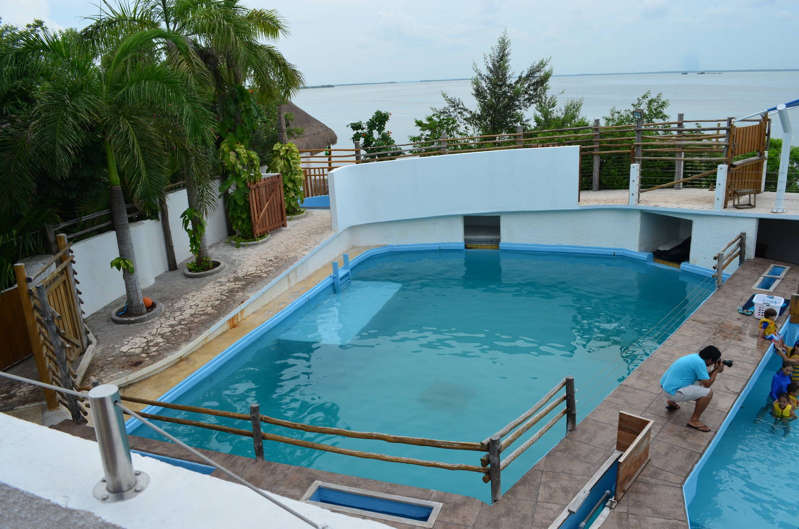 Small sea lion exhibit