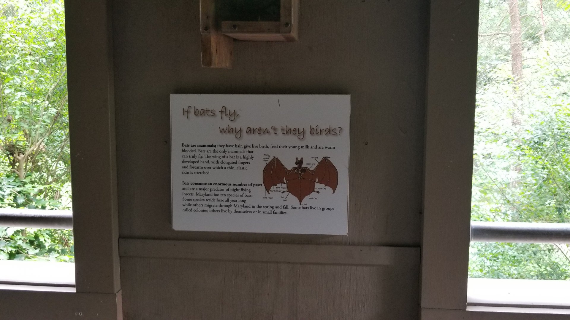 Small sign about bats