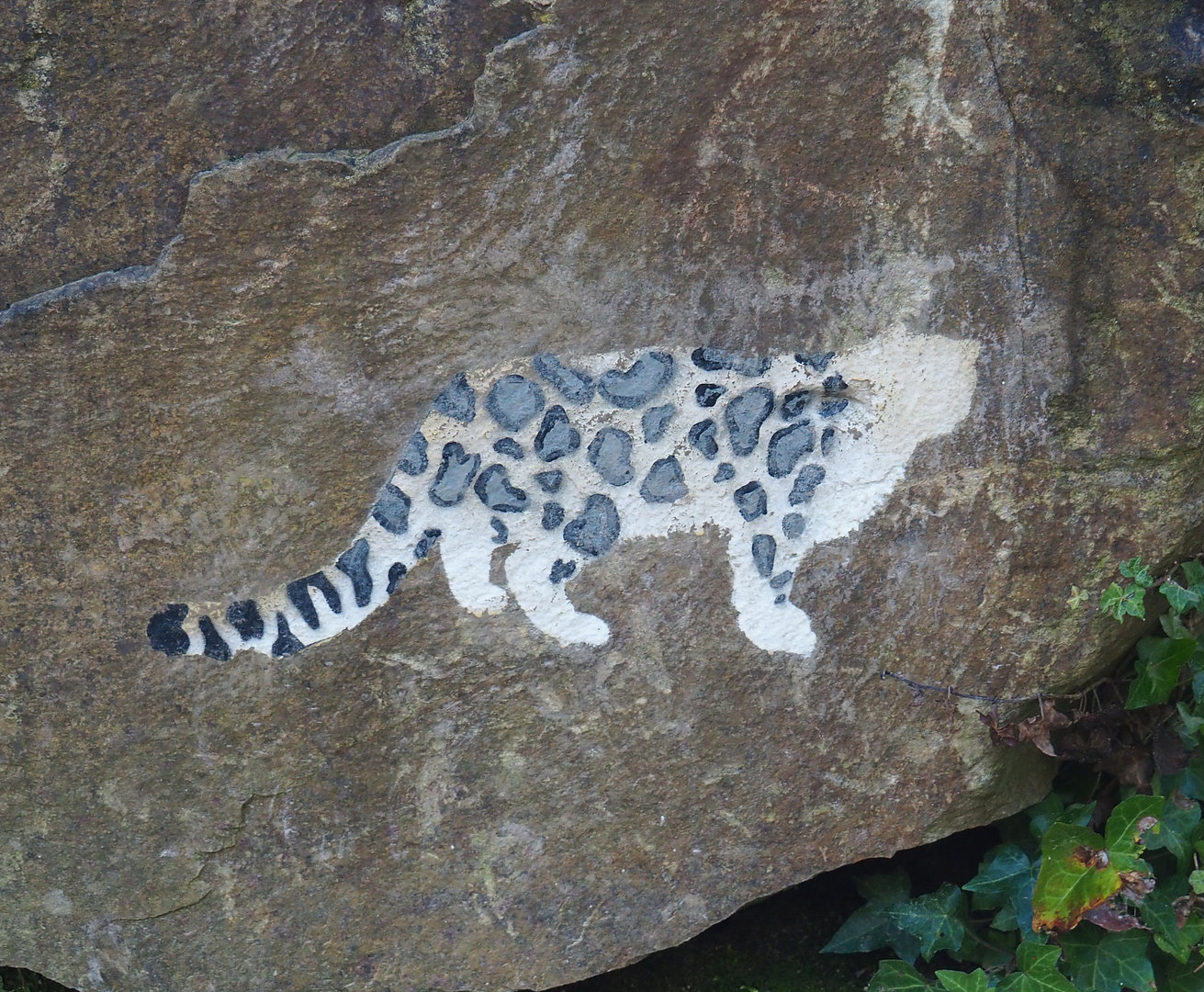 Small snow leopard artwork on rock, 2022-02-12