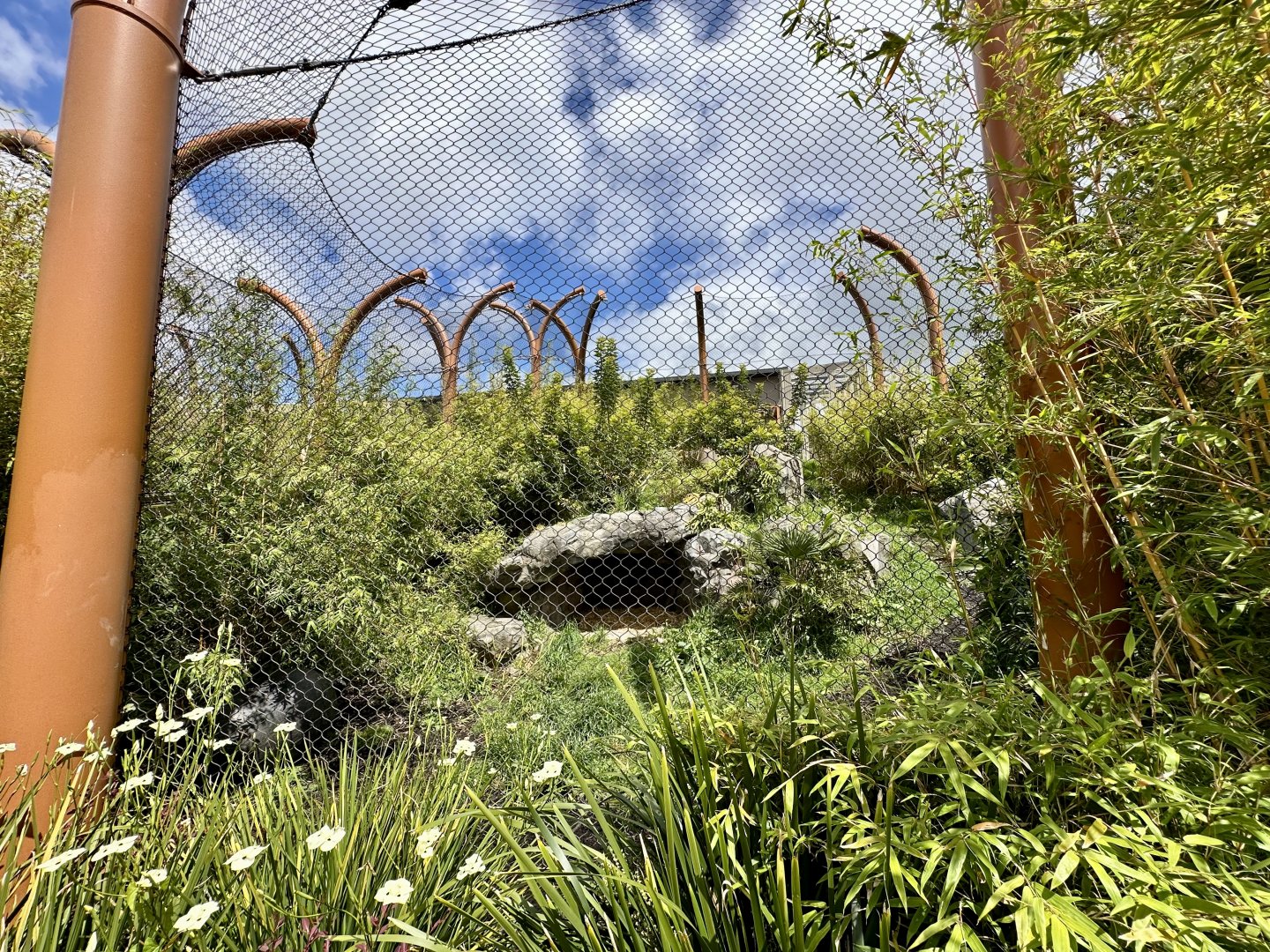 Small Sumatran Tiger Exhibit
