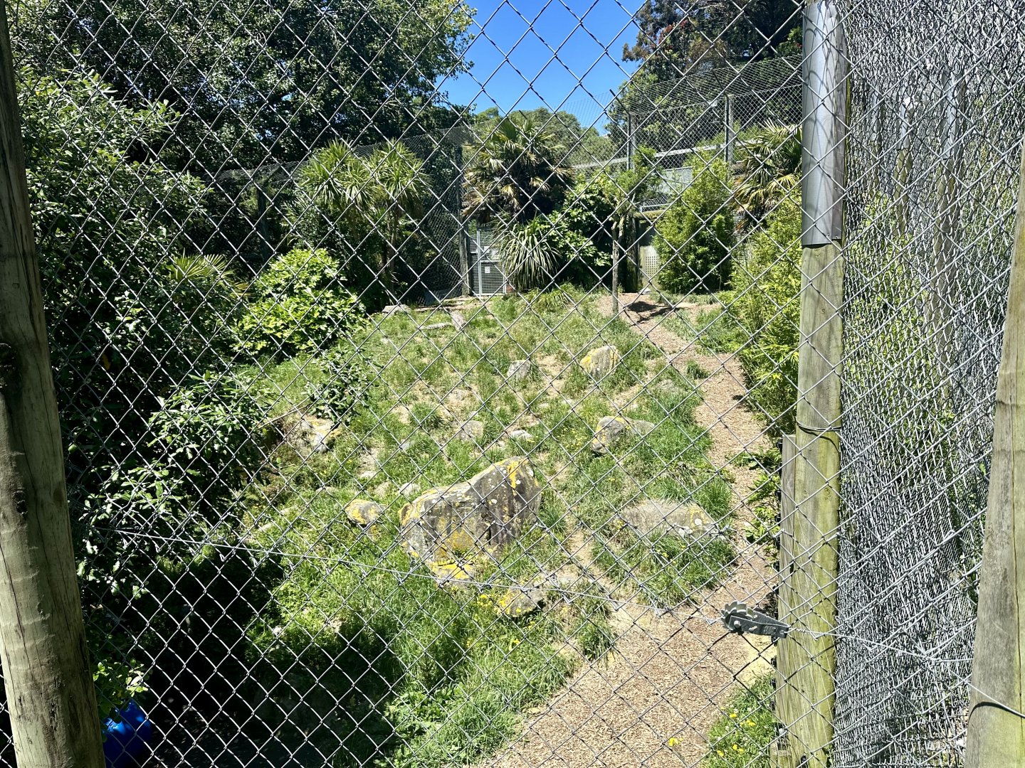 Small Sumatran Tiger Exhibit