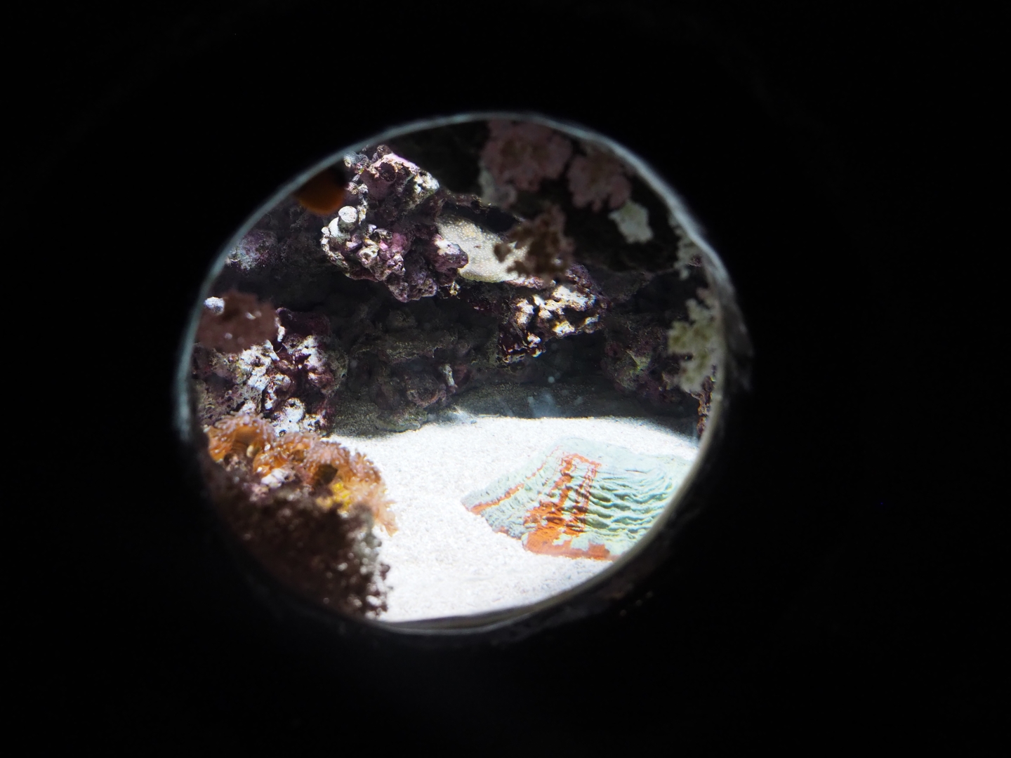 Small tank (Sep 16th, 2018)