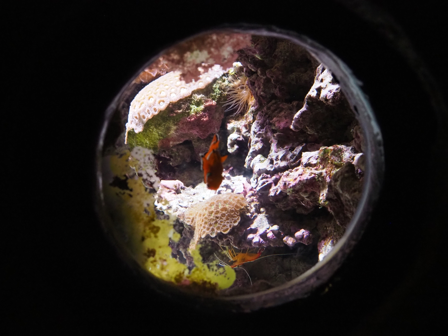 Small tank (Sep 16th, 2018)