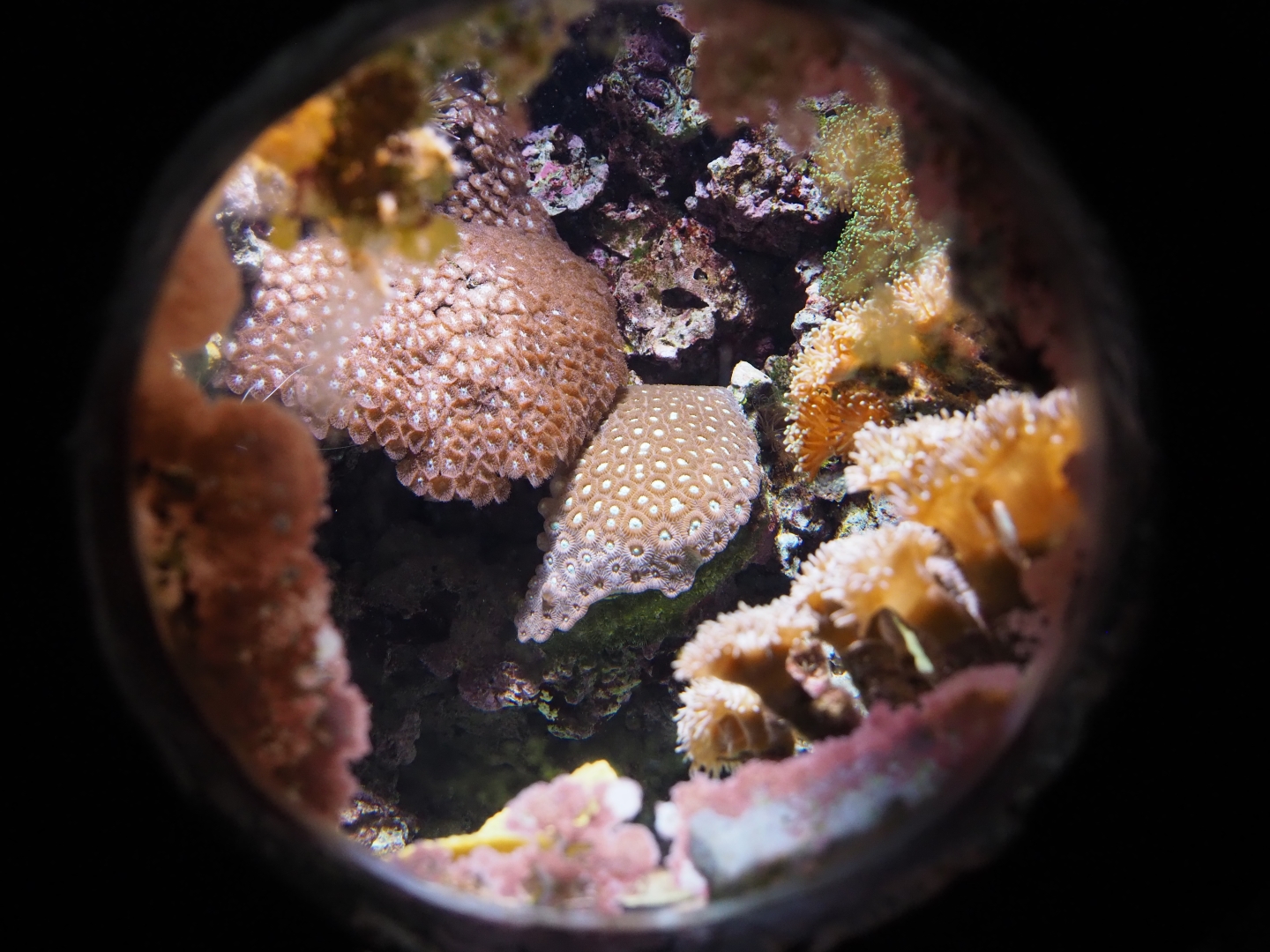 Small tank (Sep 16th, 2018)