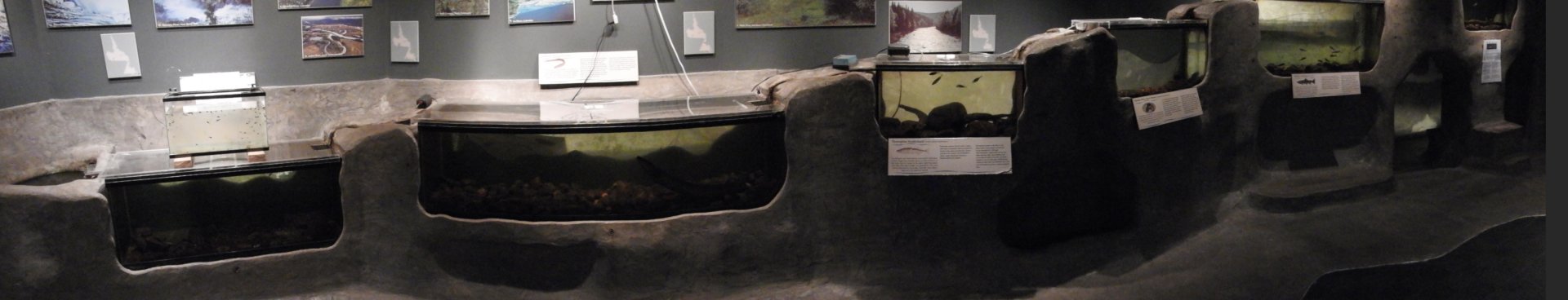 Small tanks panorama