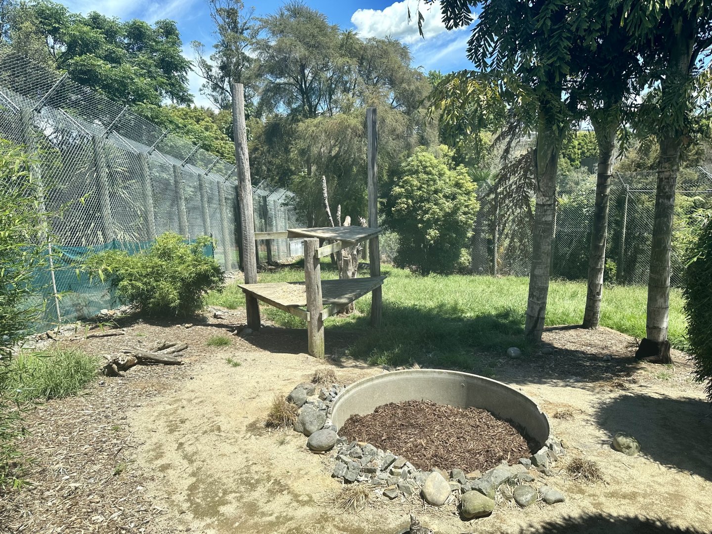 Small Tiger Exhibit (Cub Proof)