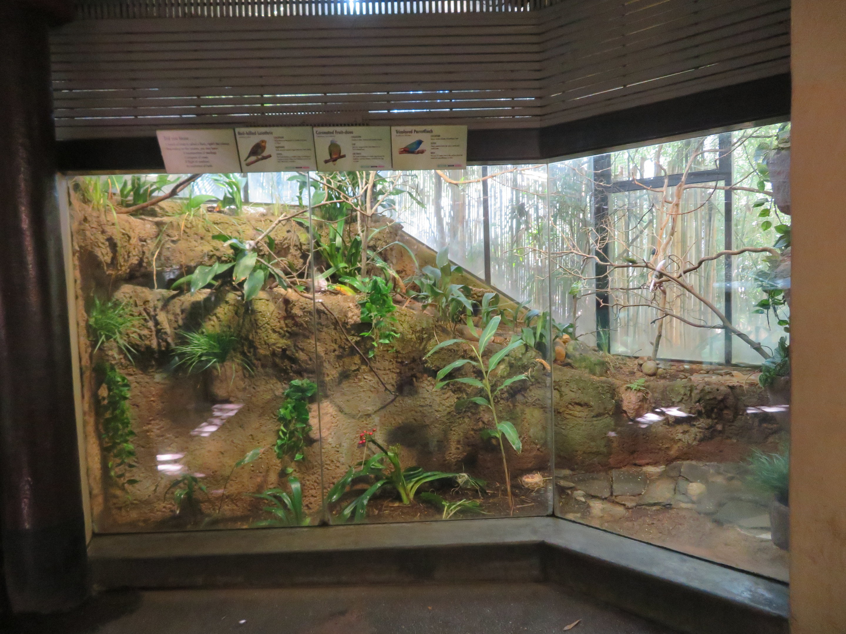 Small Tiger Trail Aviary