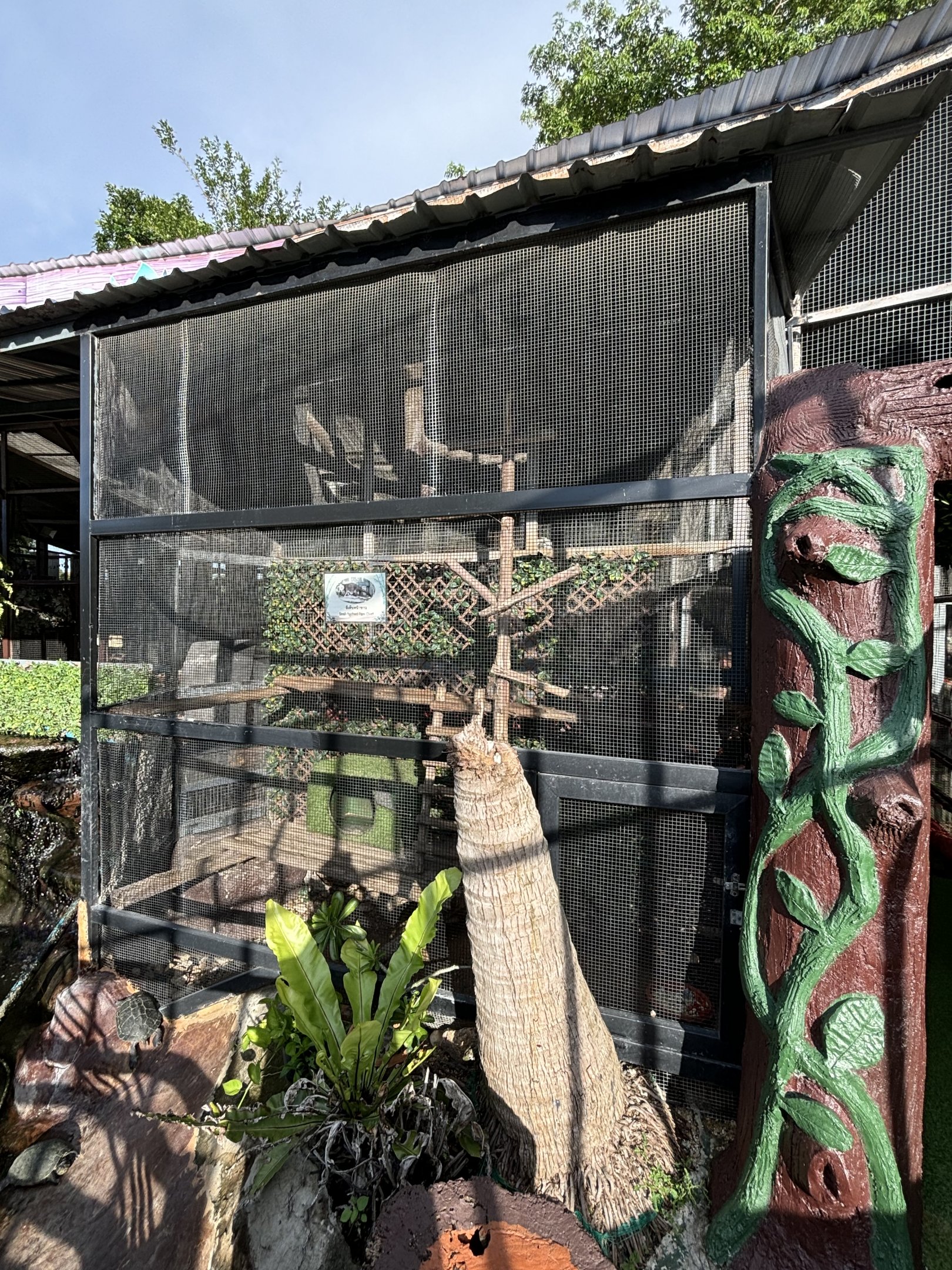 Small-toothed Palm Civet Exhibit