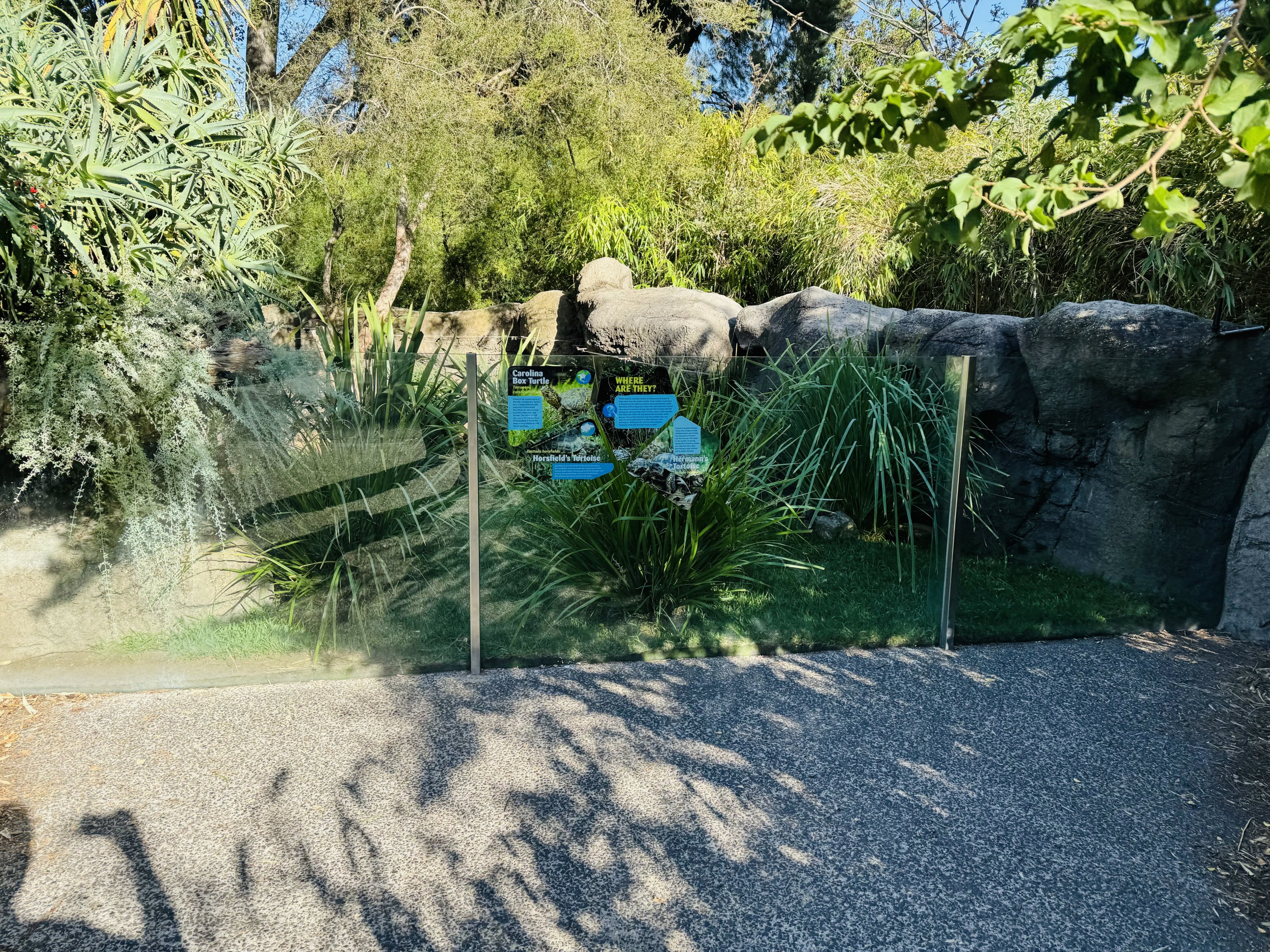 Small tortoise enclosure