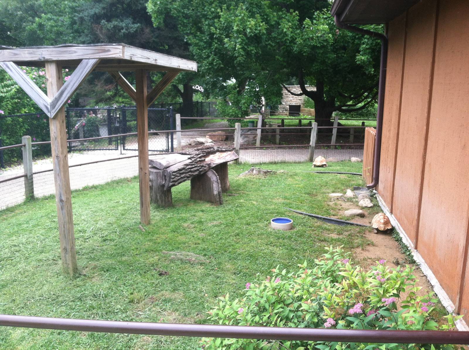 Small Tortoise Exhibit