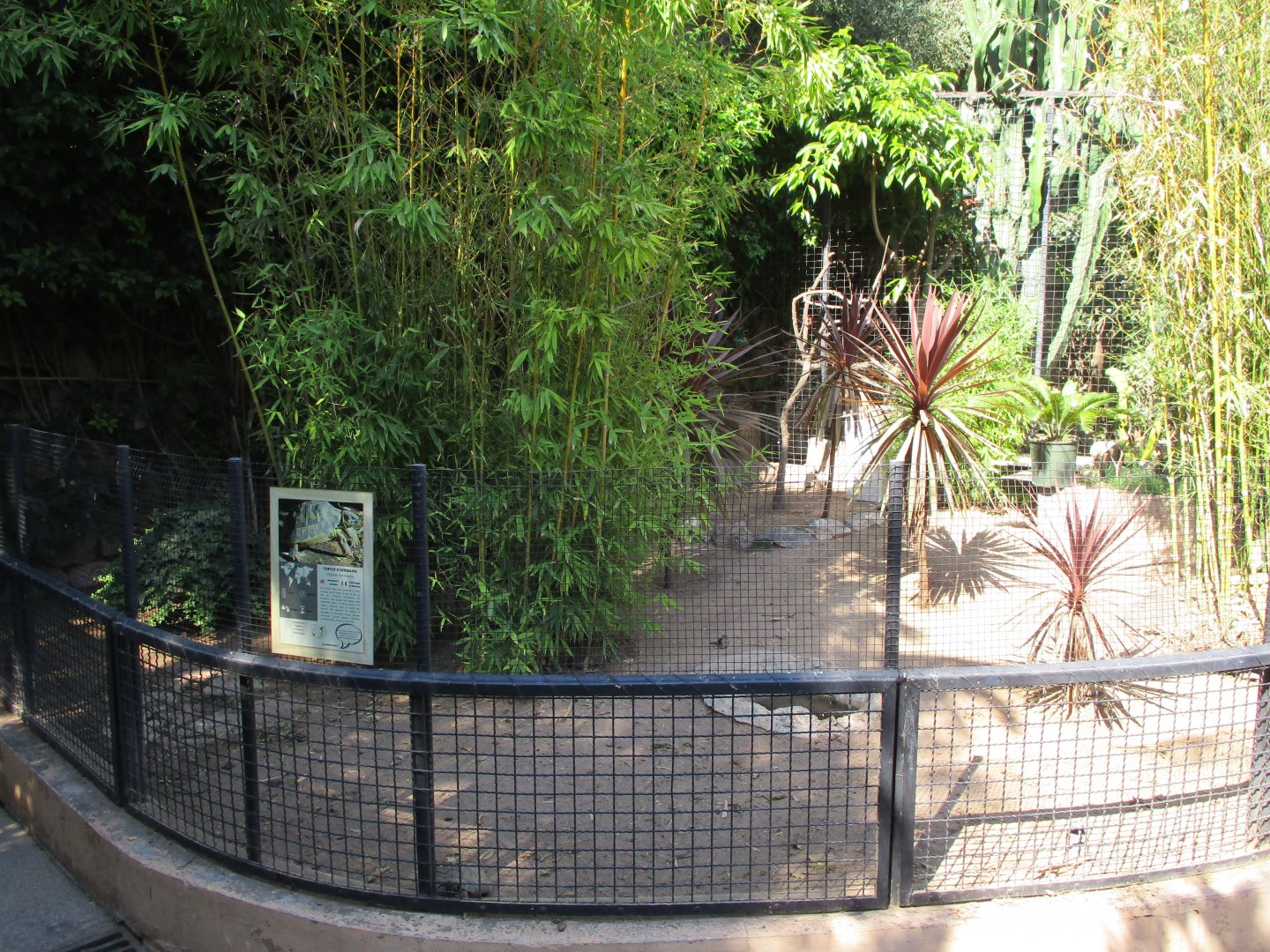 Small tortoise exhibit