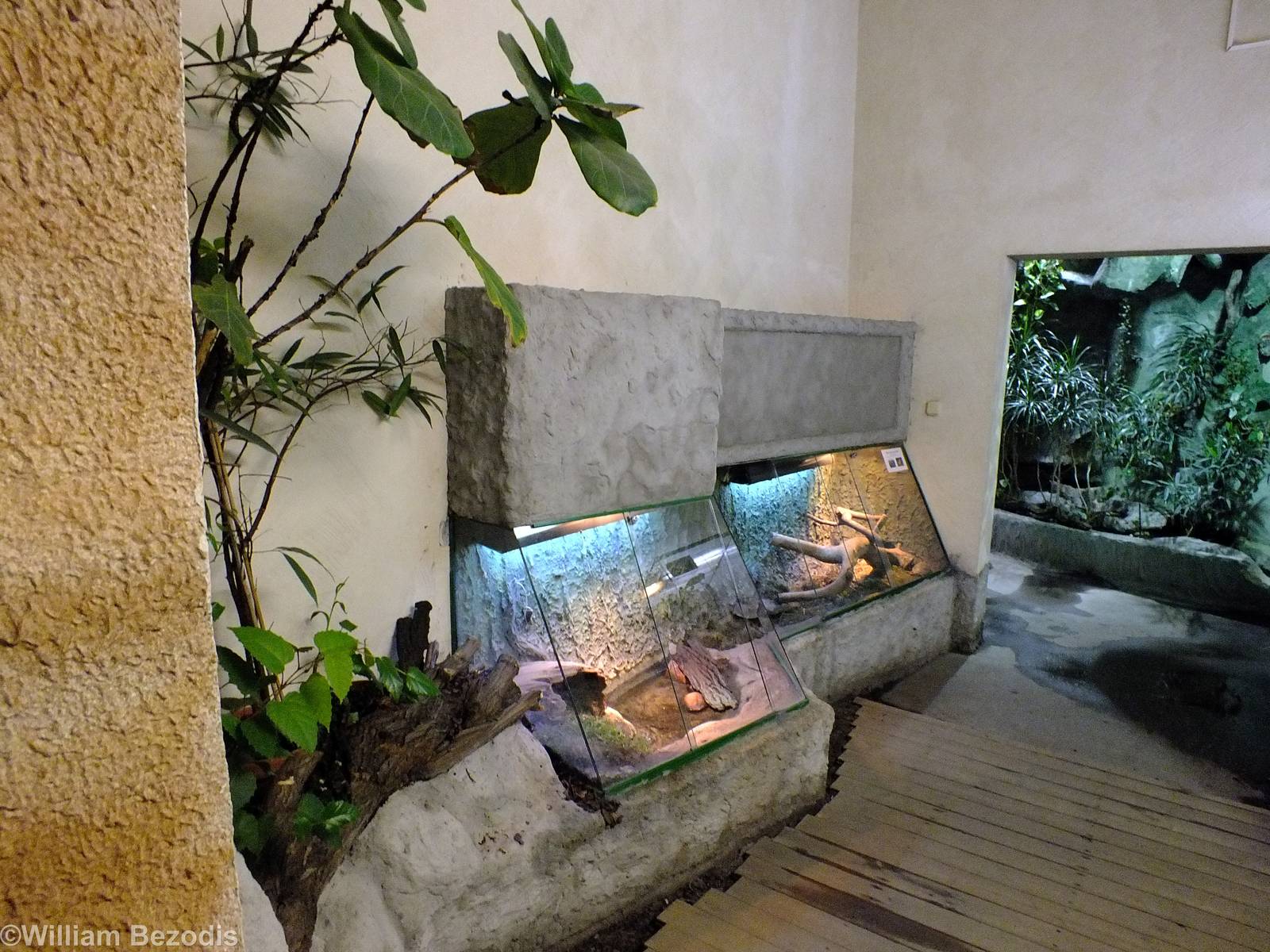 Small Tortoise Tank in Cold-blooded Animals Pavilion