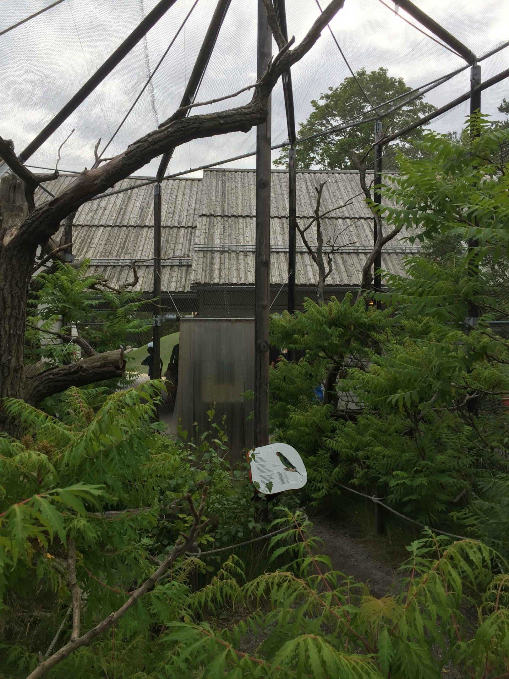 Small walk through aviary