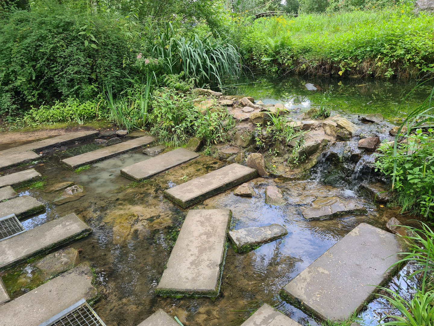 Small waterfall and stepping stones