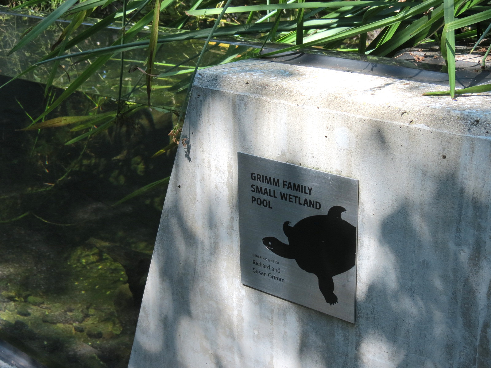 Small Wetland Pool Exhibits