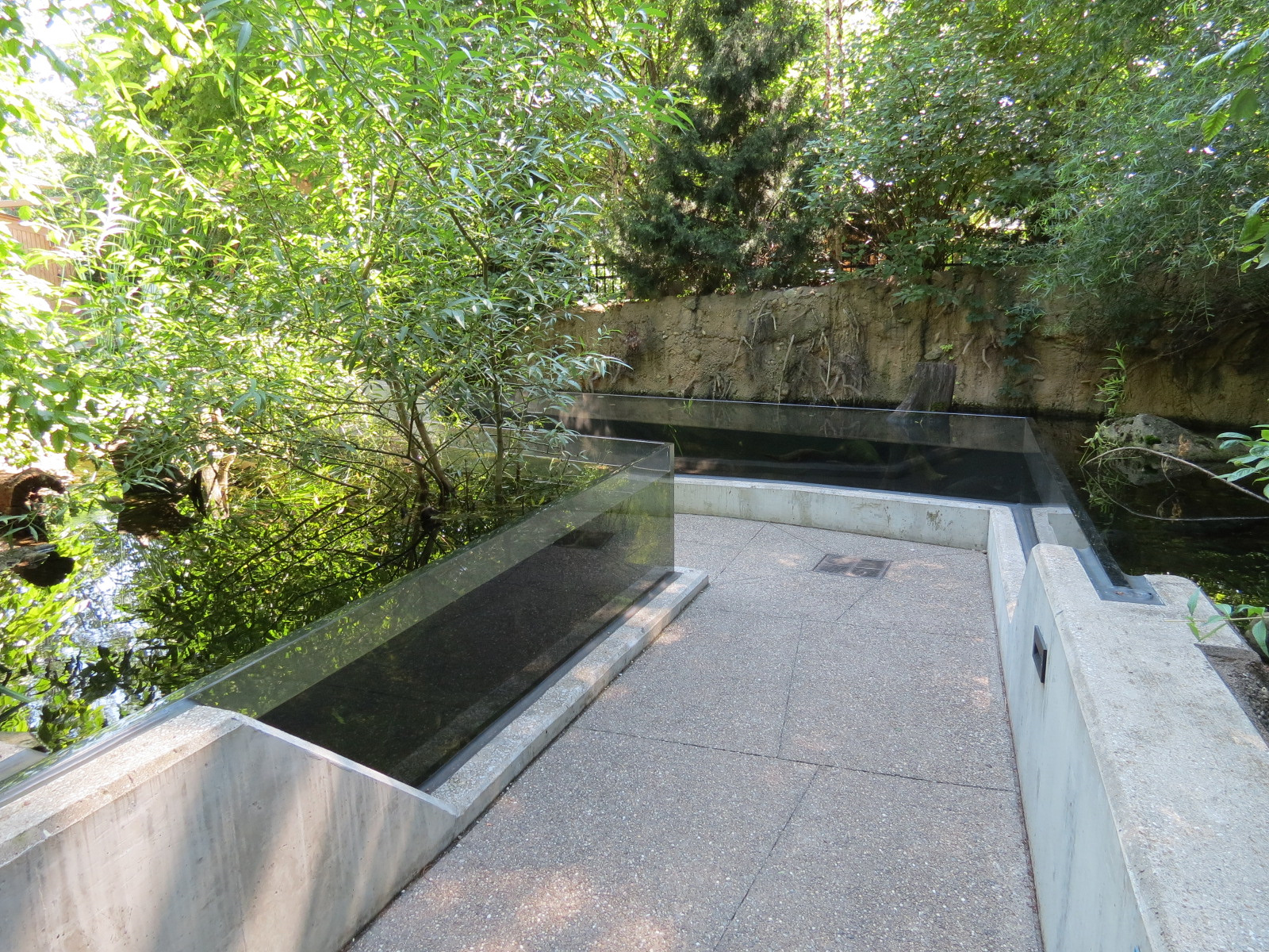 Small Wetland Pool Exhibits