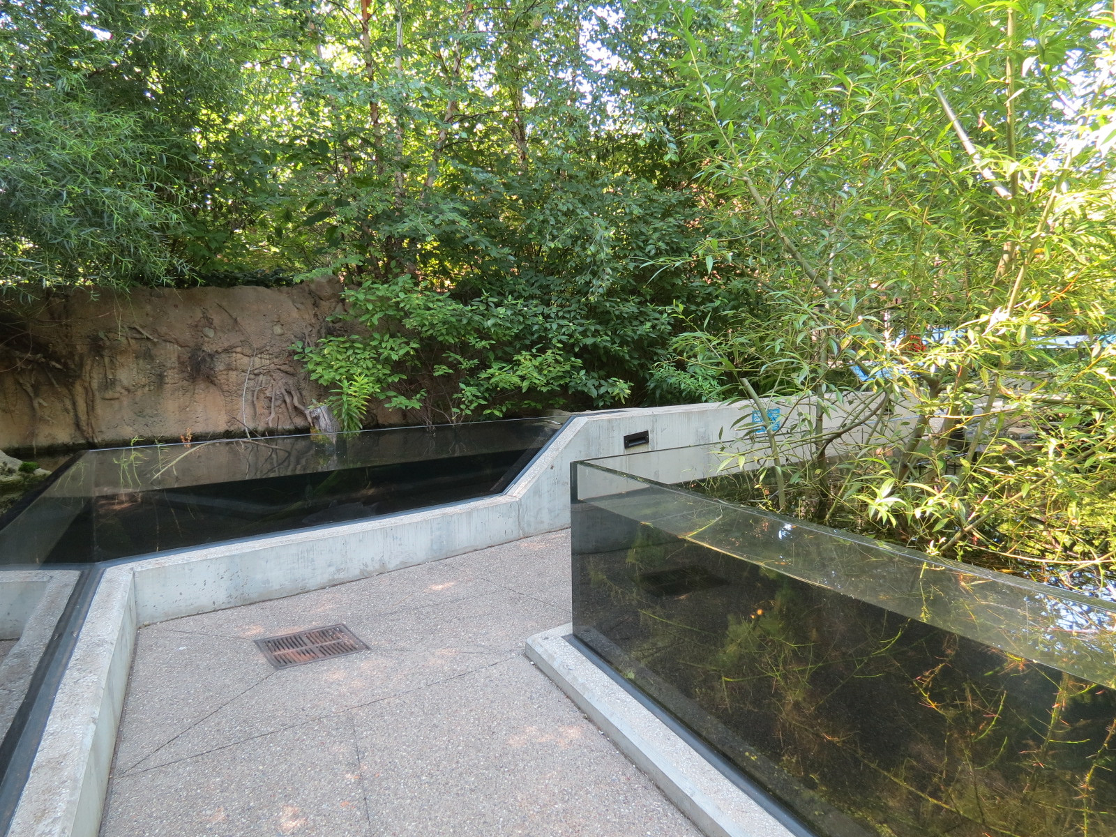 Small Wetland Pool Exhibits
