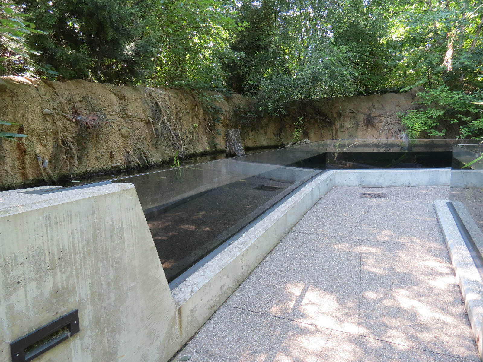 Small Wetland Pool Exhibits