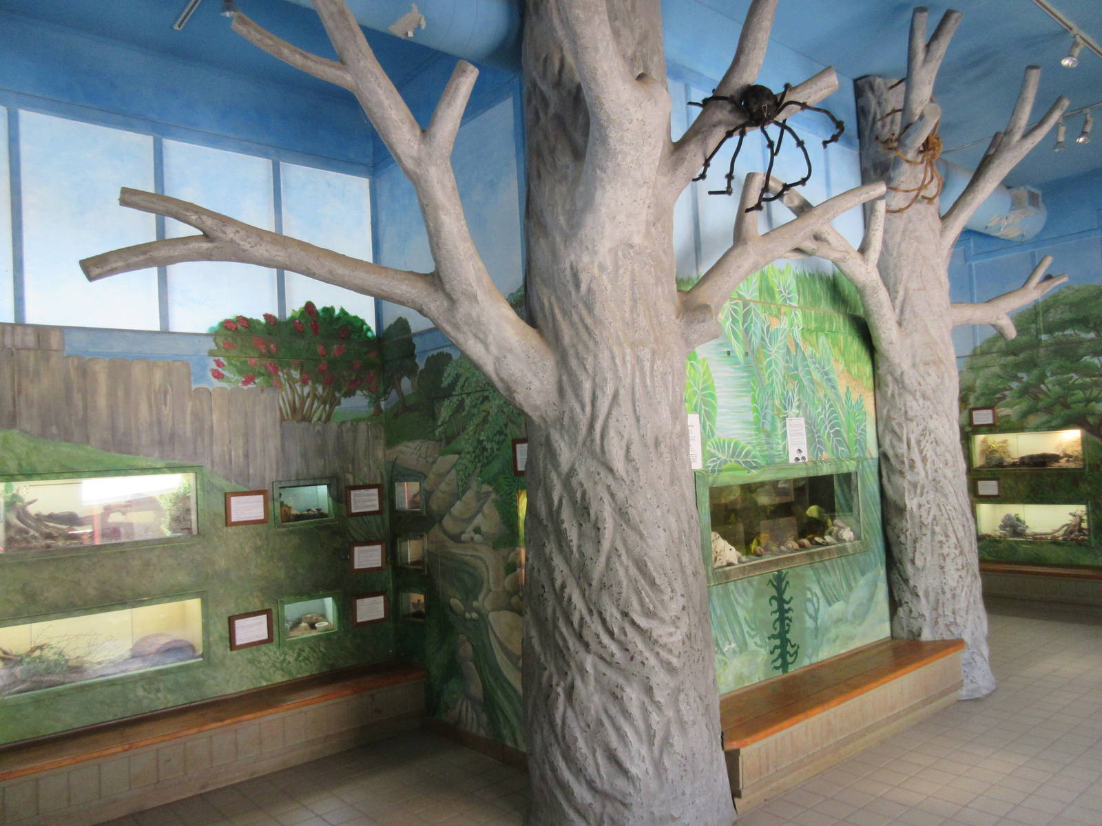 Small Wonders Building (assorted terrariums)