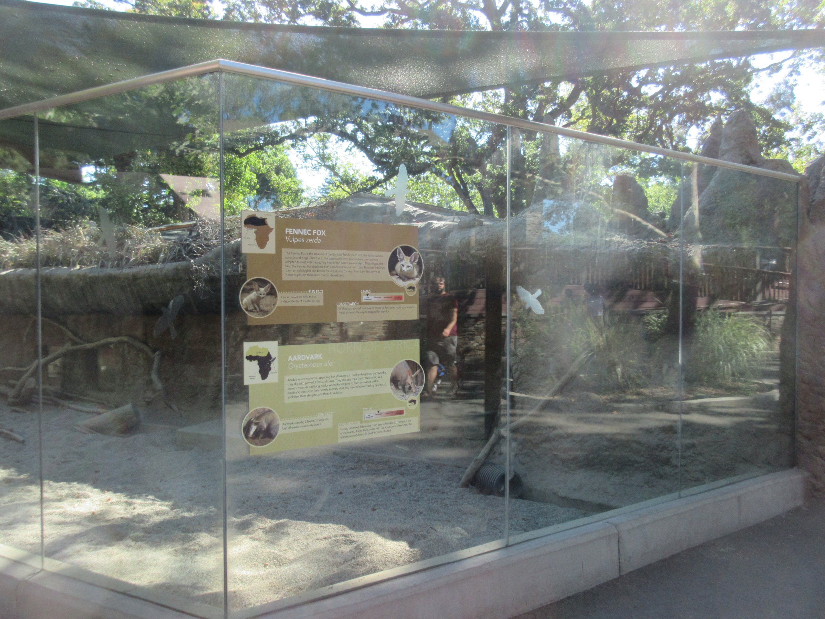 Small Wonders (New in 2014) - Fennec Fox/Aardvark Exhibit (with terrible glare)